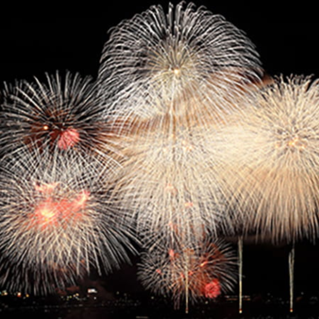 Fireworks night
