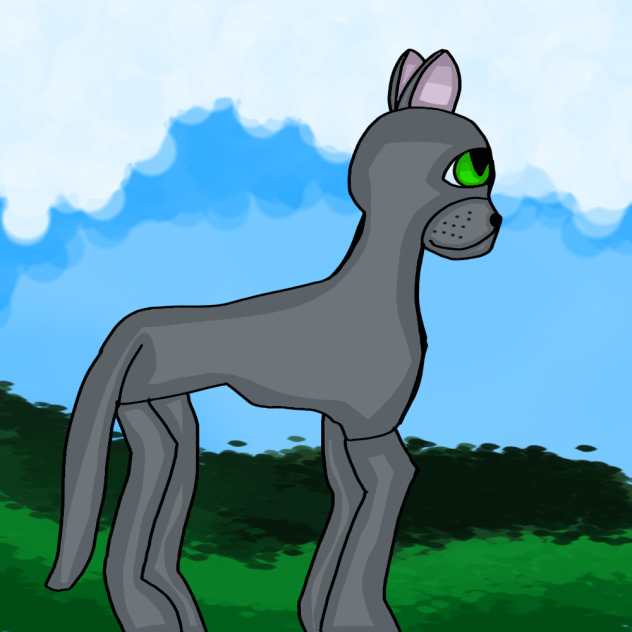 Russian blue