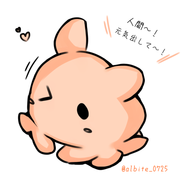 メンダコ🐙②