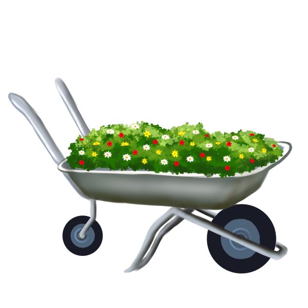 wheelbarrow with plants