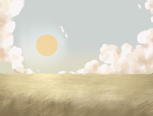 A subtle field
