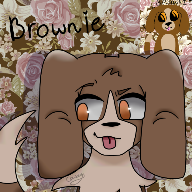 Redraw of Brownie