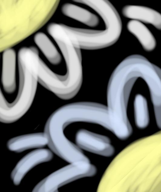 Flower wallpaper 🌻 [DARK VERSION]