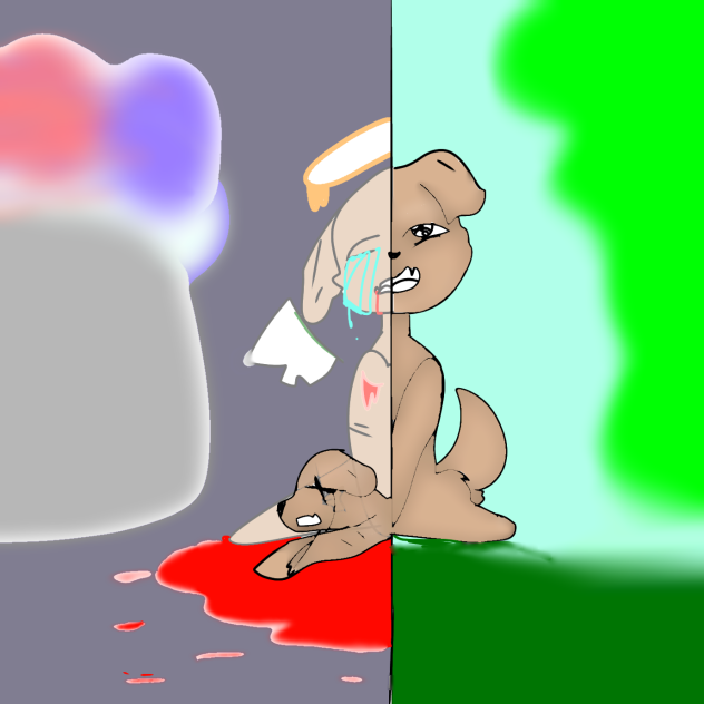 the dog tht got crashed😭