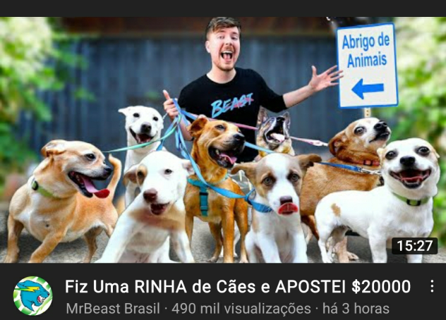 Fiz Uma RINHA de Cães e APOSTEI $20000