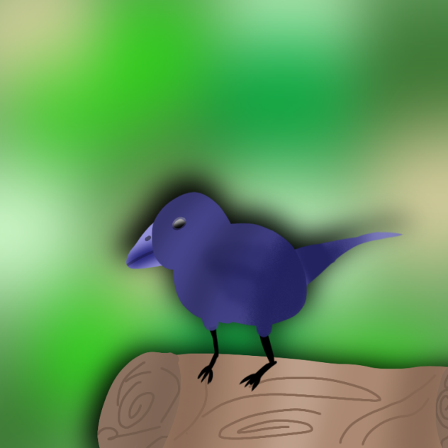 b i r d