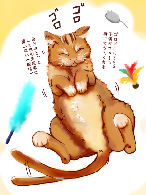 この世の支配者・にゃんこ