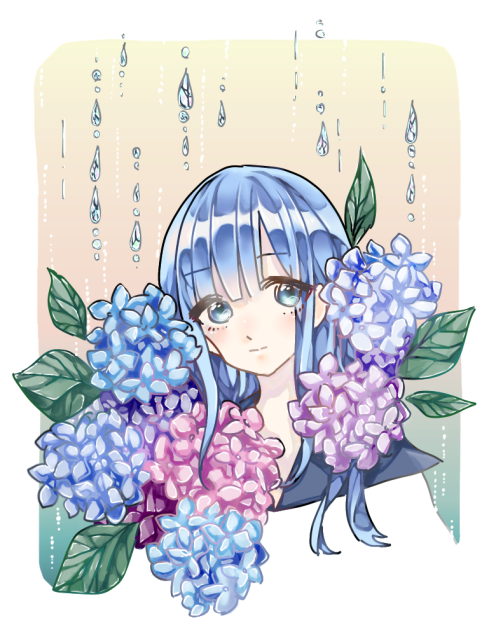 紫陽花