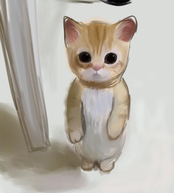 El Gato 🐱