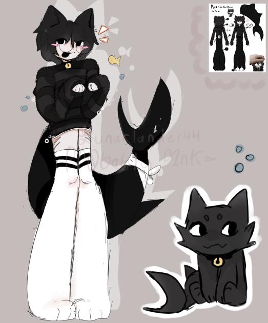 Meow! ☆彡