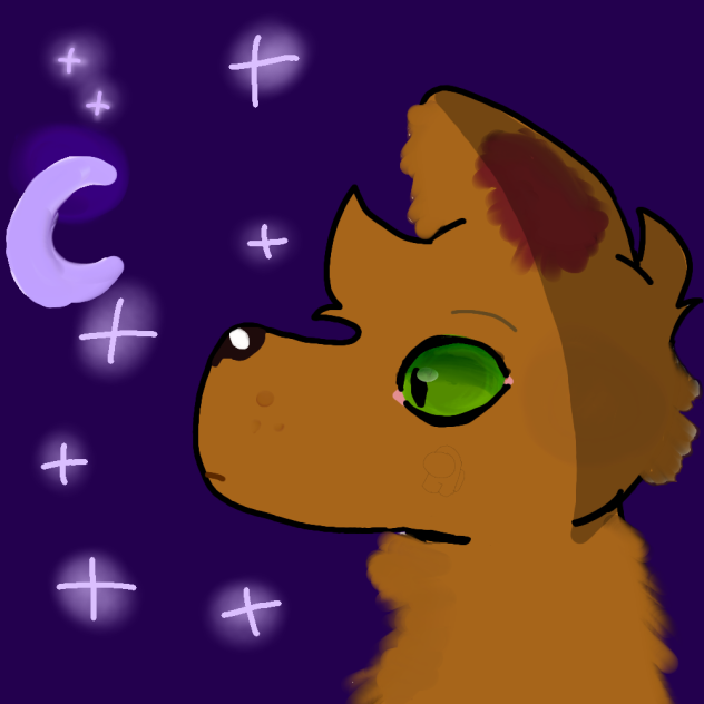 wolf