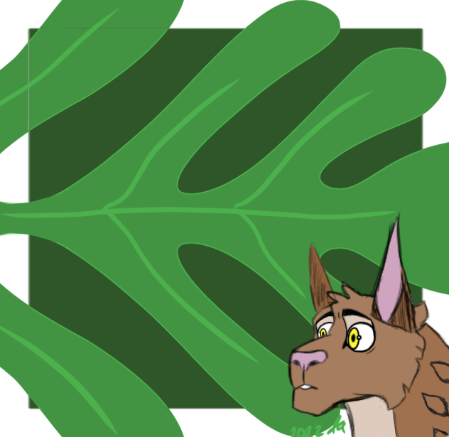 Confused Lynx