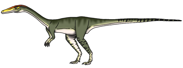 Coelophysis bauri (2023) render