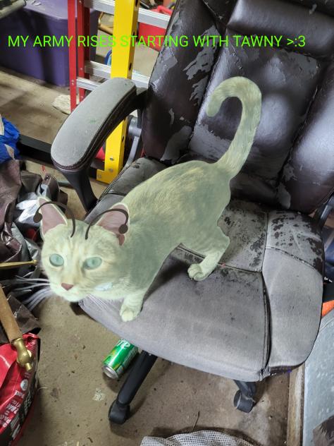Commander Tawny of the alien cat army