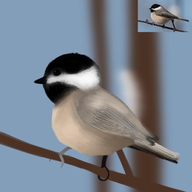 Chickadee