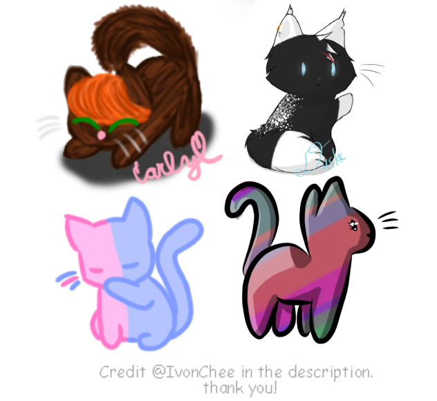 Kitty collab