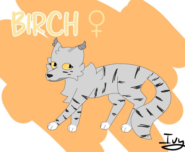Birch