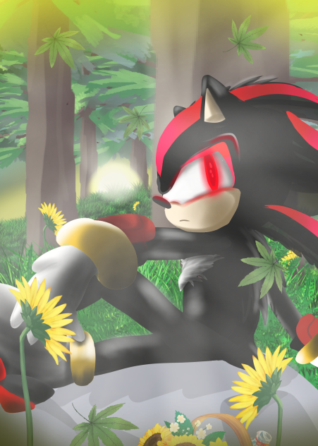 Shadows the hedgehog (field)