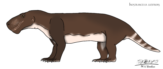 Inostrancevia latifrons