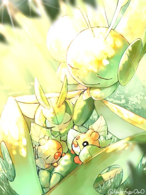 ハハコモリ