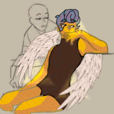 Swan Wally unfinished