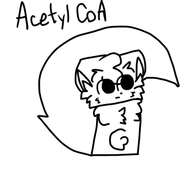 Acetyl CoA tail swipe