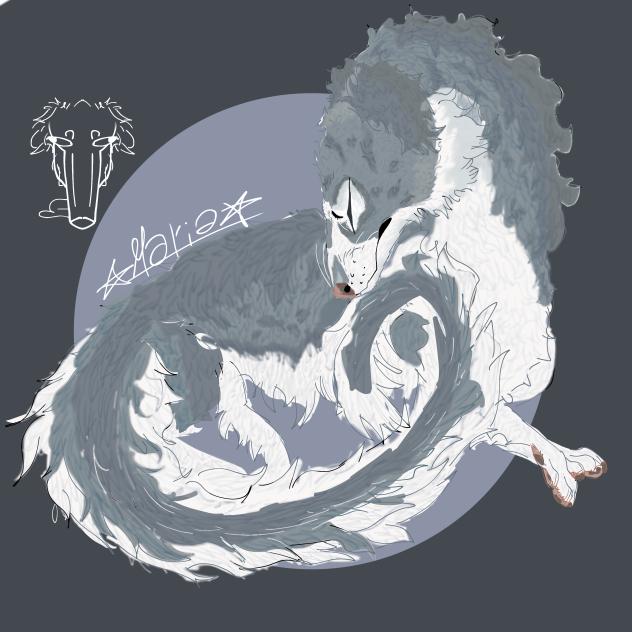 borzoi