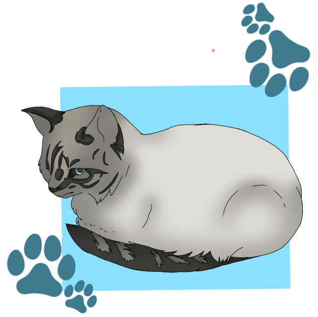 Kitty Cat - ibisPaint