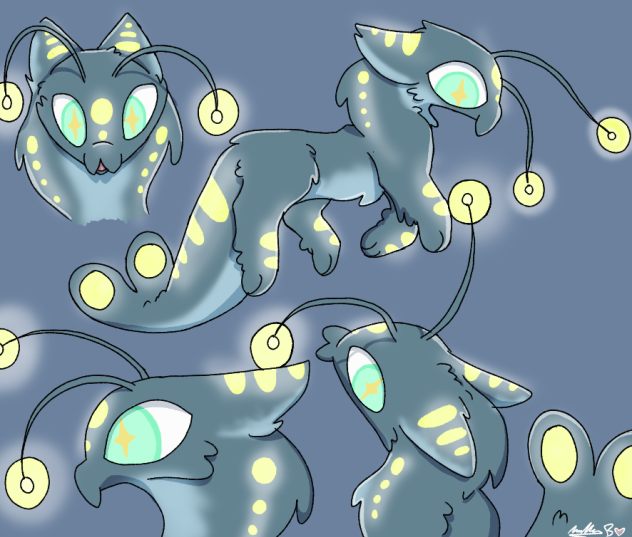 Fluffy Shrimp Study