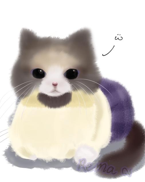 My oc as a cat lol
