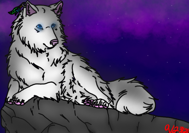 Misty in the dawn light