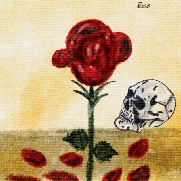 The red rose