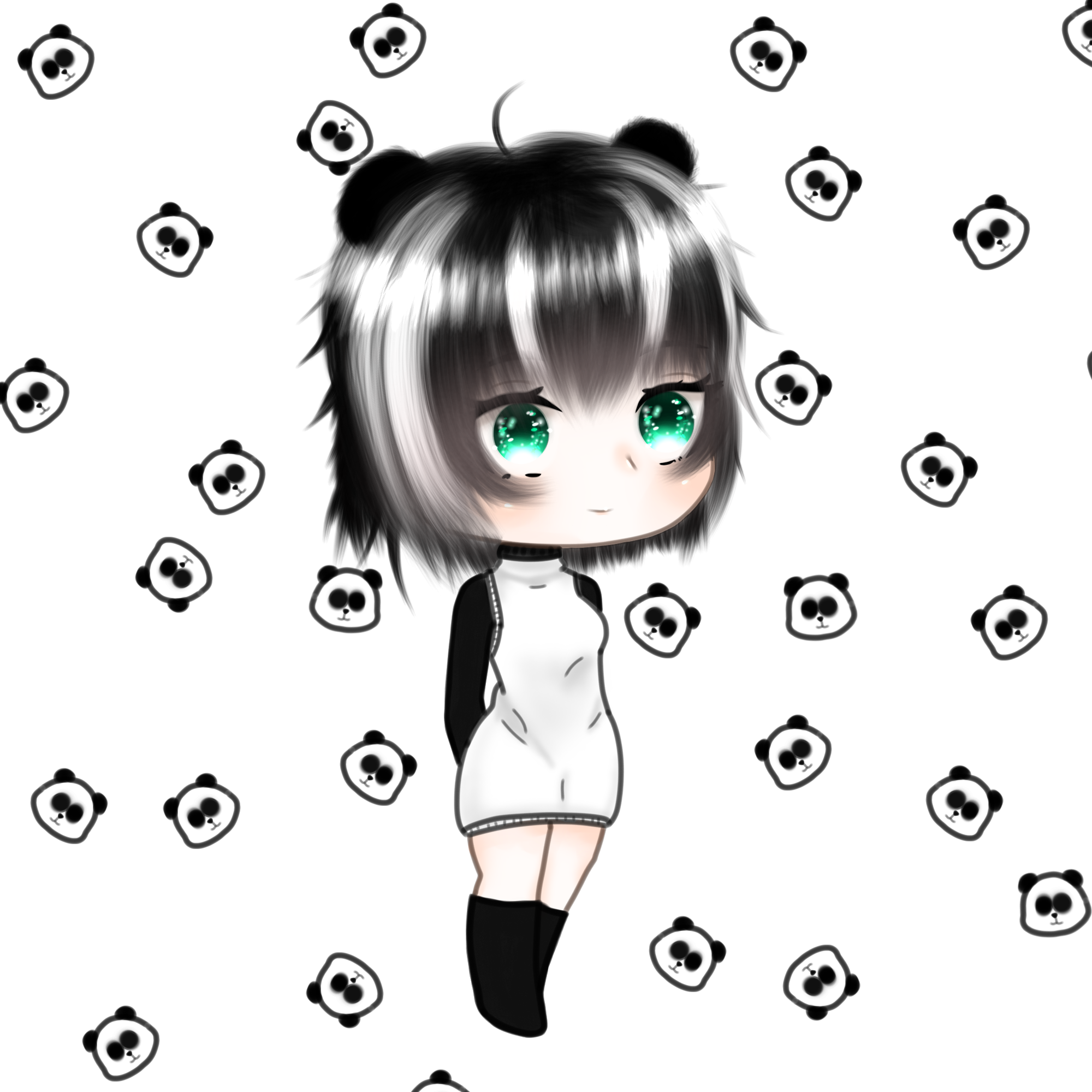 Chipi panda - ibisPaint