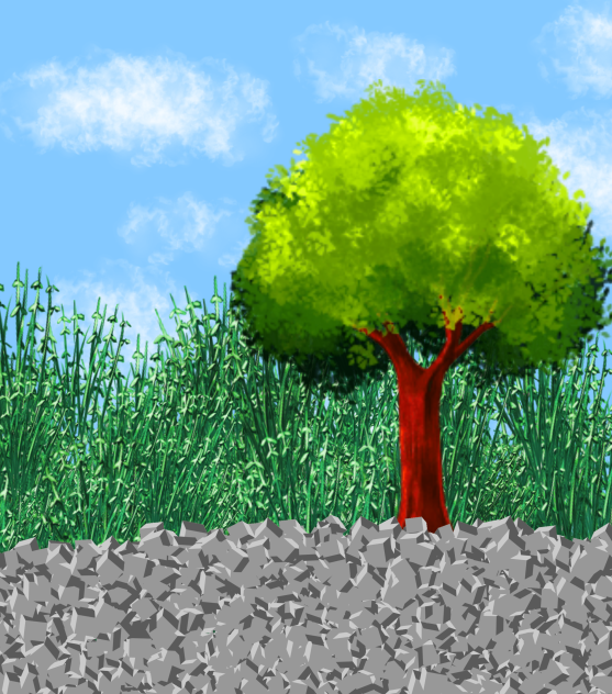 草でいっぱいの庭 ibisPaint