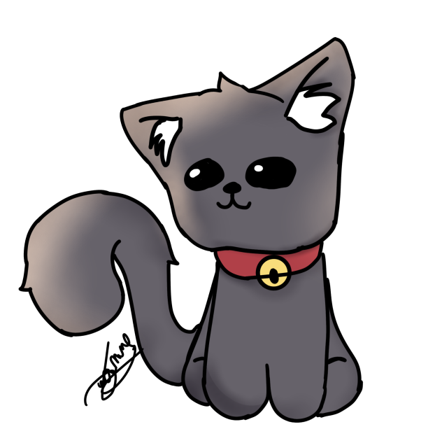 cat🐱 - ibisPaint