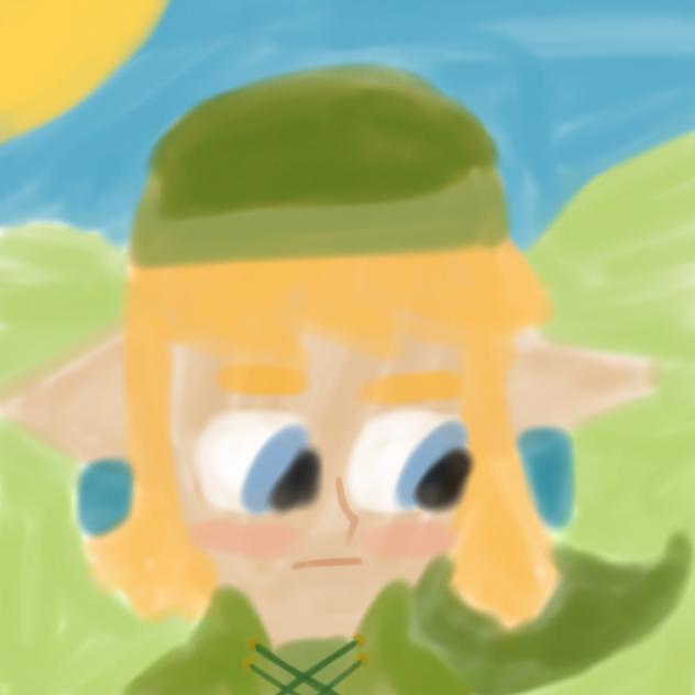 Link, The Hero Of Hyrule