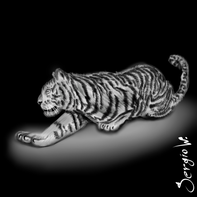 Tiger