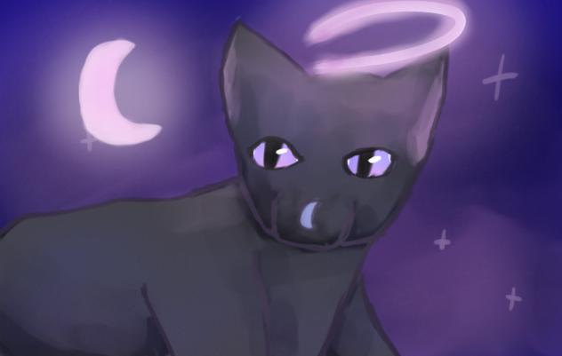NEW CAT OC!!