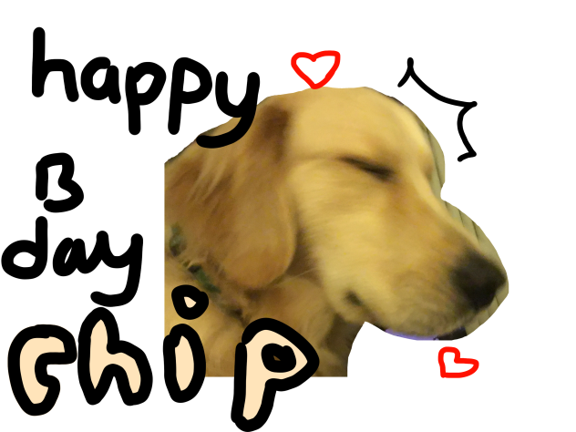 Happy birthday chip😌
