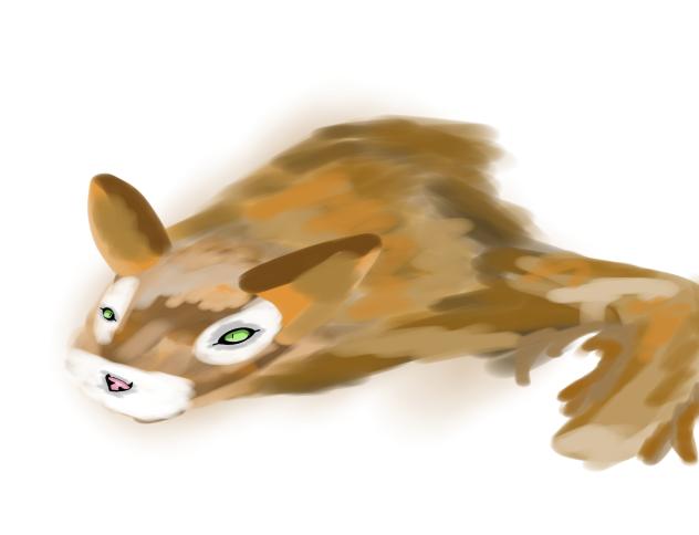 Realistic cat test2