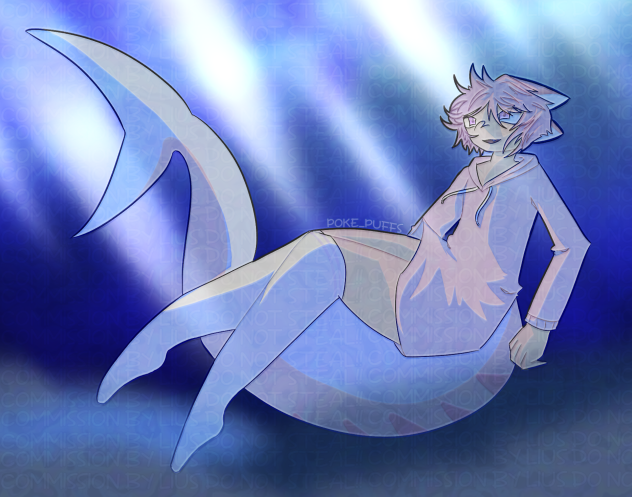 🦈🌊