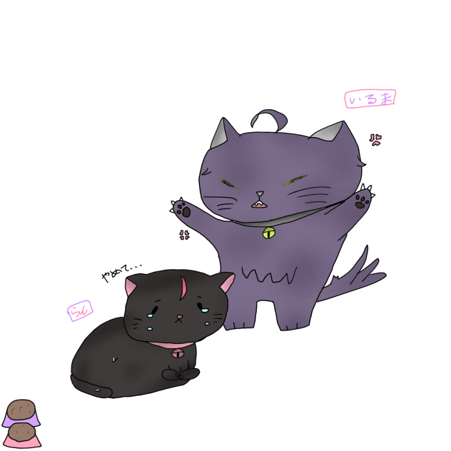 シクフォニいるらん猫