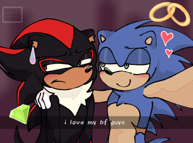 gayhogs