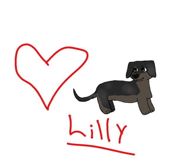 Happy birthday lilly  💔