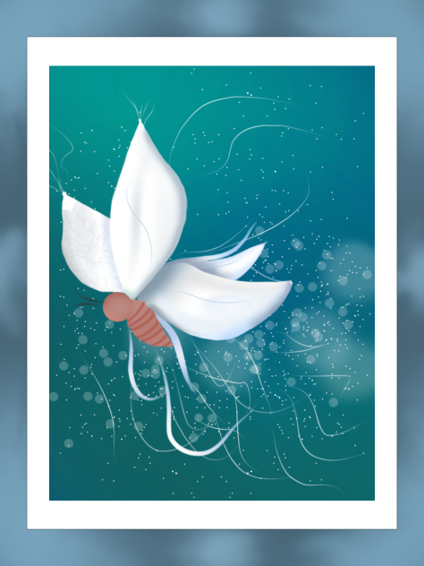 Celestial Butterfly - ibisPaint