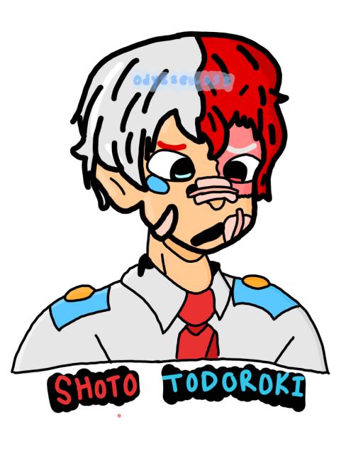 Shoto Todoroki!