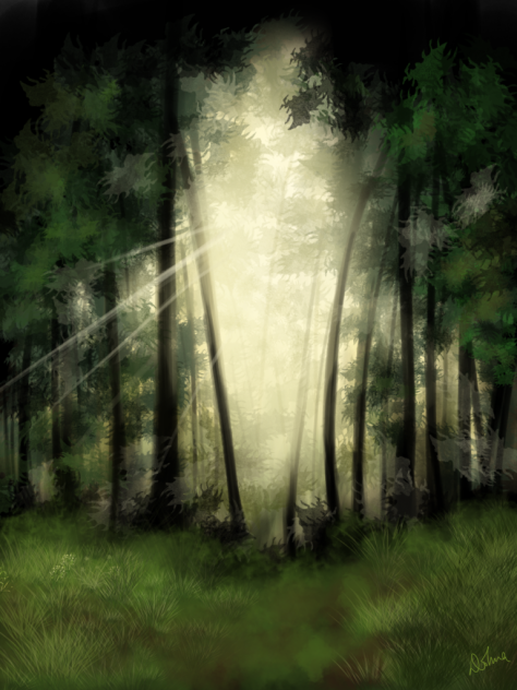 The Light