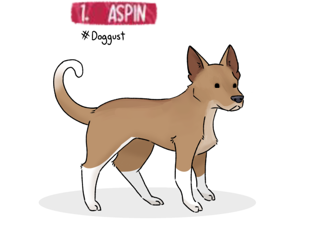 Doggust day 1 - Aspin