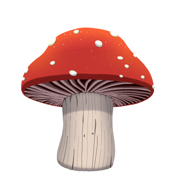 Magical mushroom 1