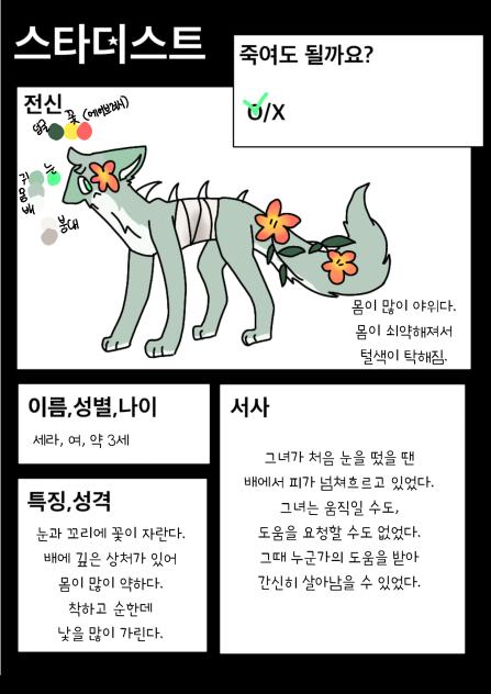 스타더스트 캐신